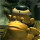 Last commented by Andrew Sivak