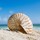 sandybeaches12