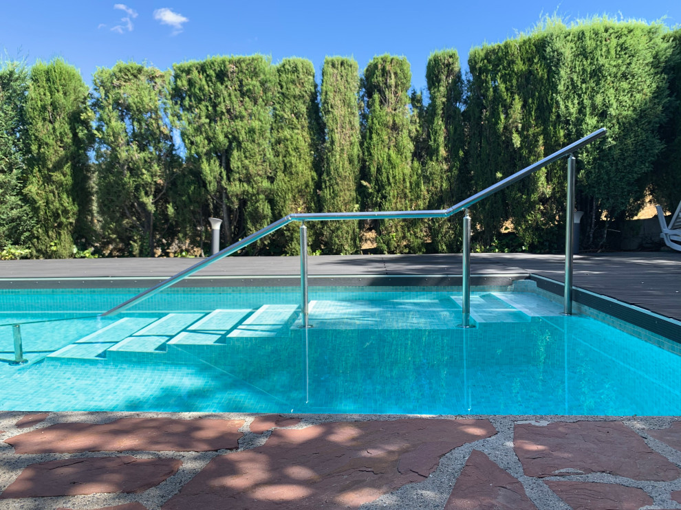 Immagine di una grande piscina monocorsia moderna rettangolare dietro casa con paesaggistica bordo piscina