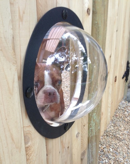 Houzz Call: Pet Projects in the Yard