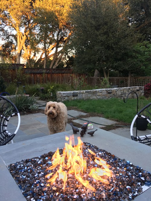 Toasting Marshmallows Or Corn On Gas Firepit Here S The Fire Pit In Question