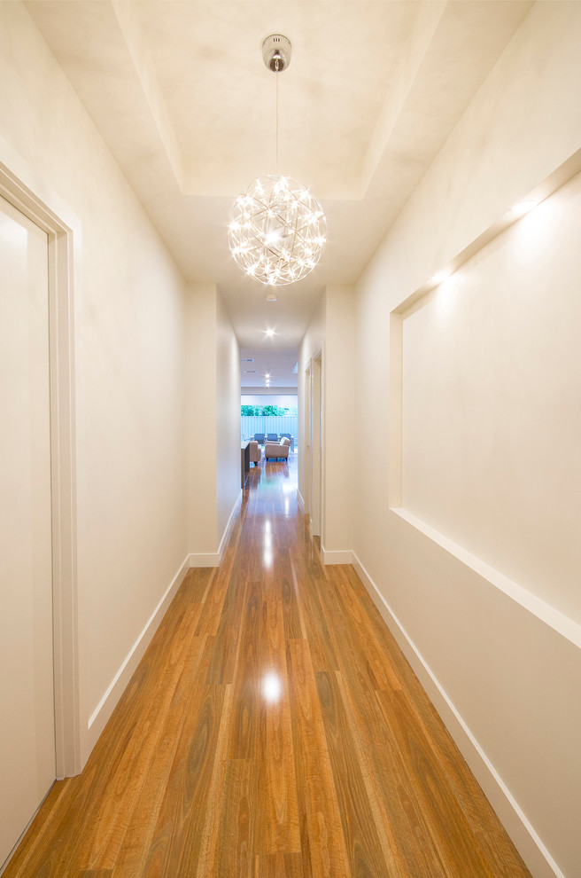 Design ideas for a mid-sized contemporary hallway in Adelaide with light hardwood floors.