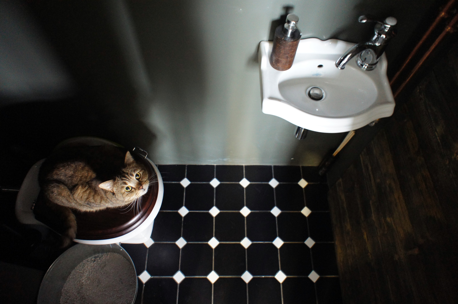 Шаболовская