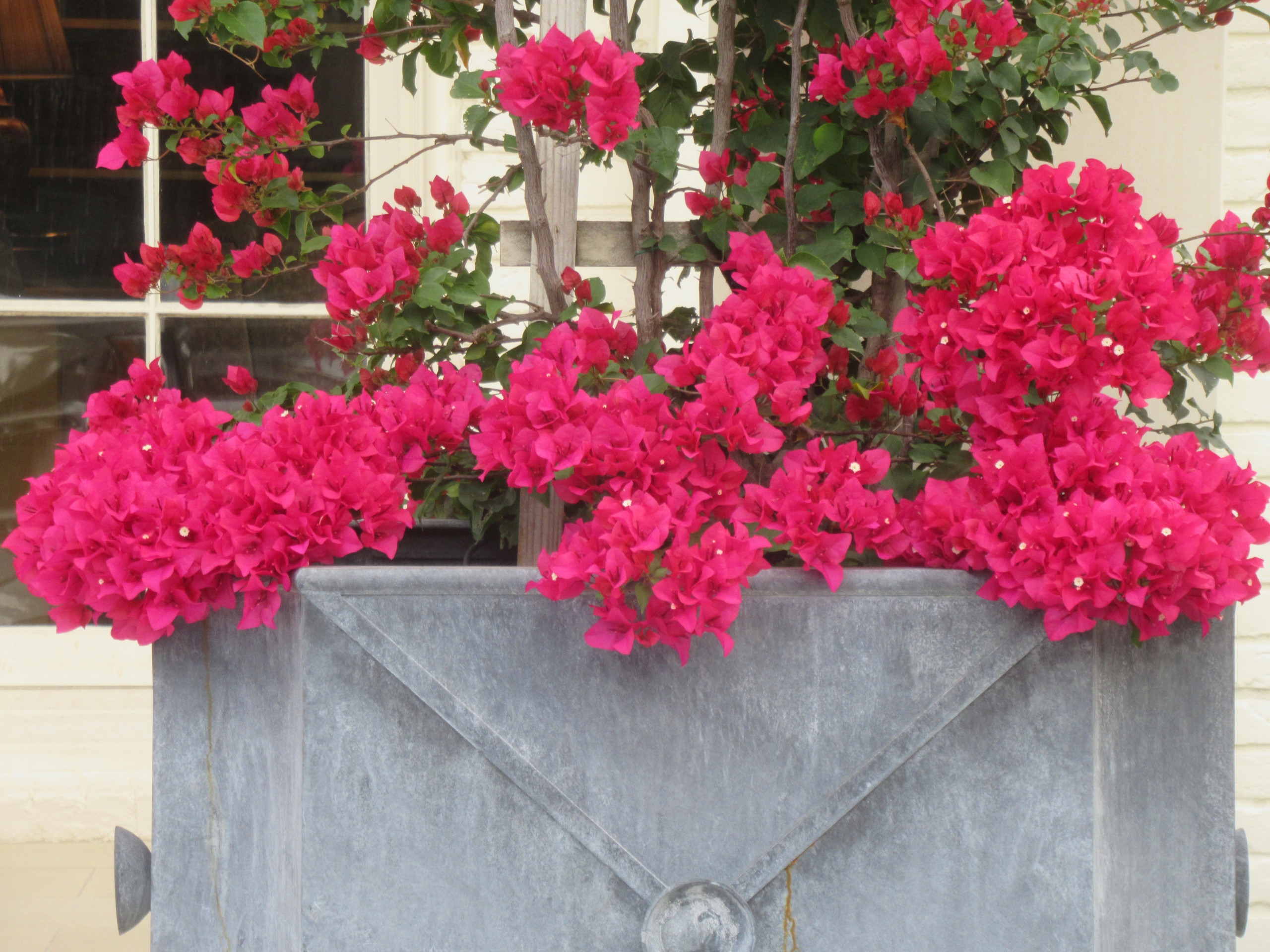 Birdsall Briscoe Classic