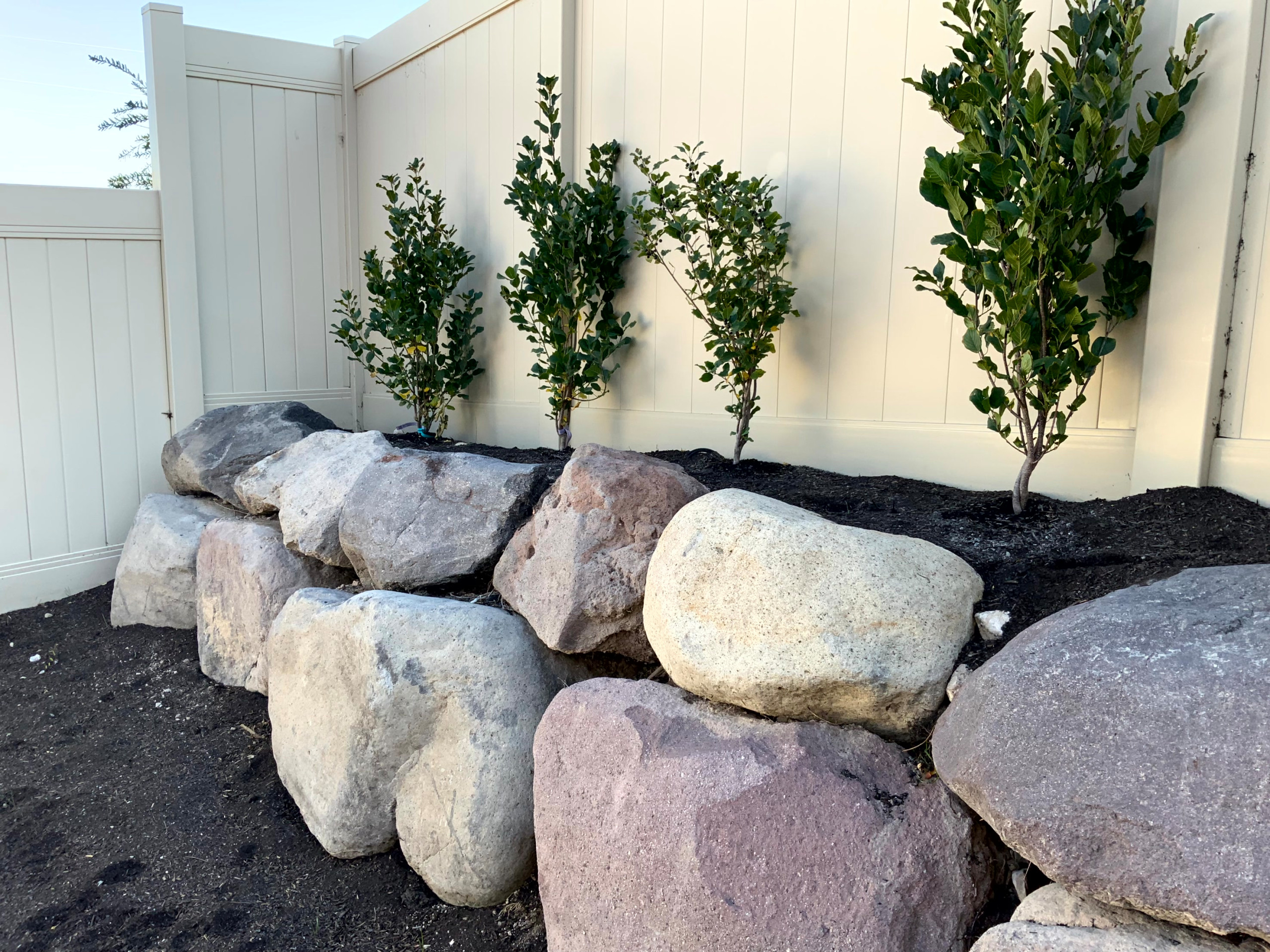 Low Maintenance English Garden