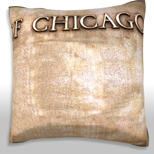 Chicago Polyester Velour Throw Pillow