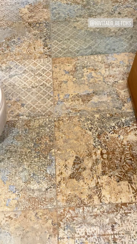 video_0_7c9888ed098a49729075bd3414d9b68c.mp4