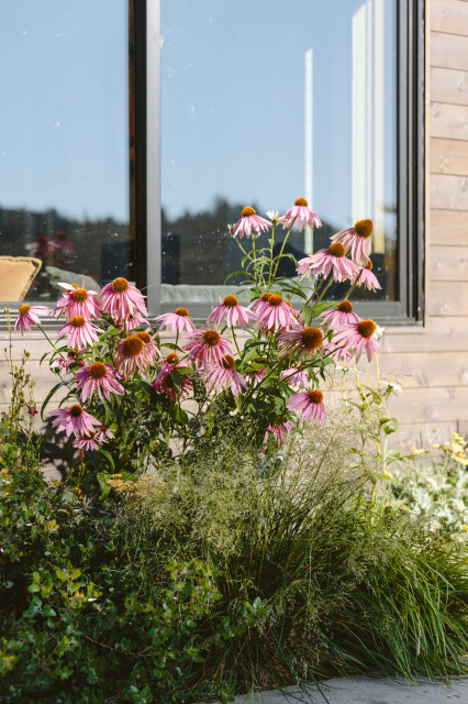 The Willamette River House 