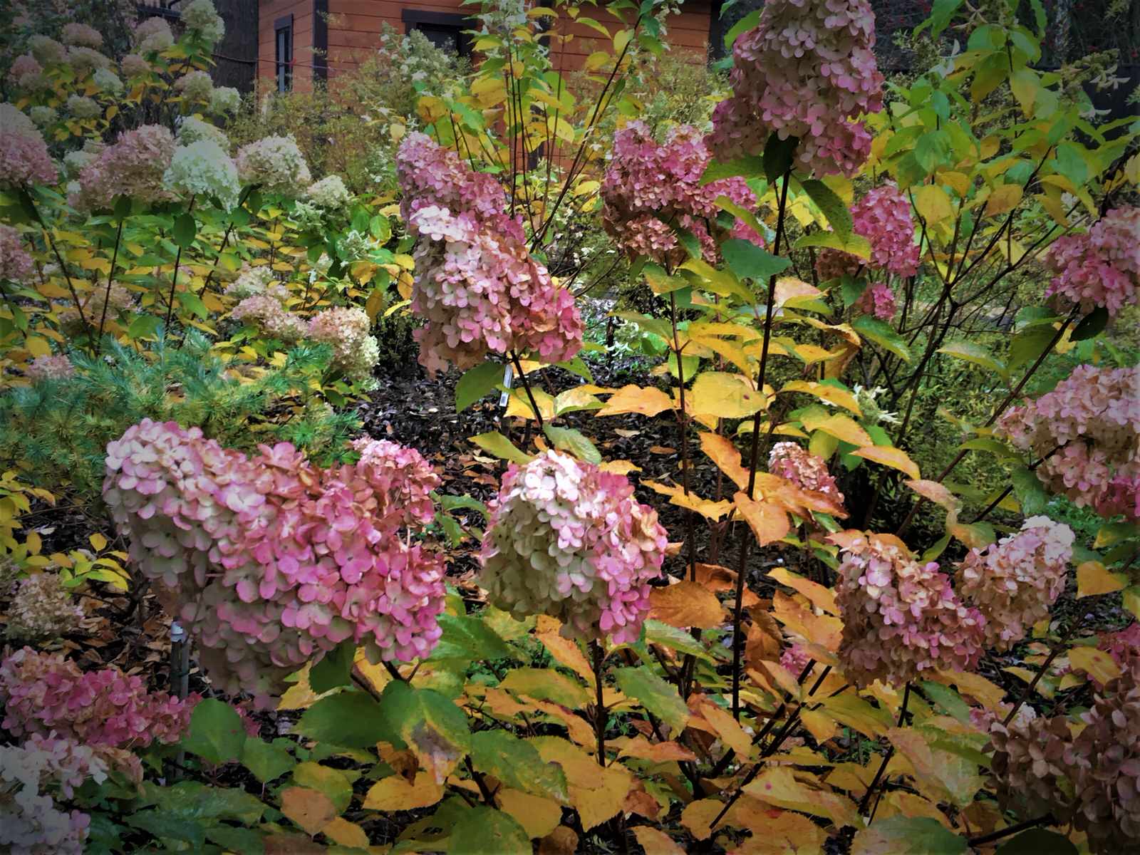 Васильевское