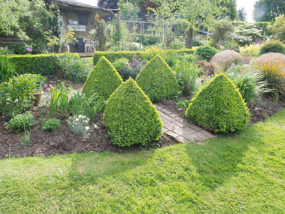 A Plantsman Garden