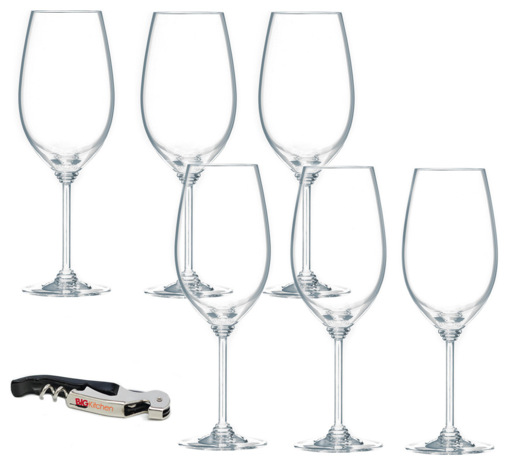 Riedel Wine Series Crystal 6 Piece Syrah Wine Glass Set with Waiter's
