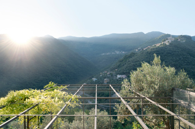 Giardino C. 