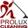 ProLux Carpet Cleaning