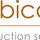 Rubicon Construction Services