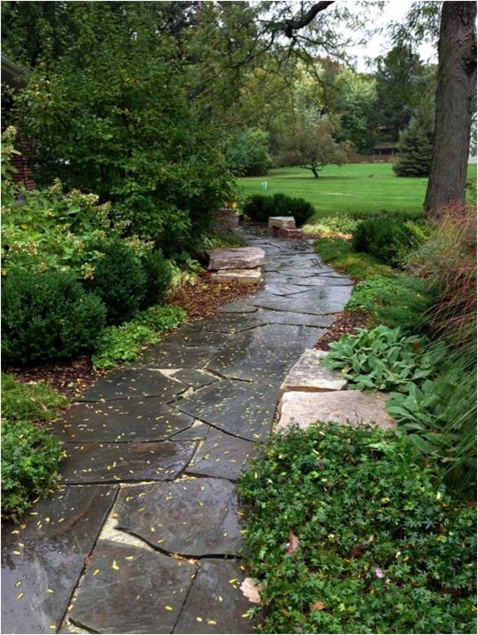 This is an example of a mid-sized partial sun front yard stone garden path in Chicago.