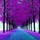 arnesia_baker