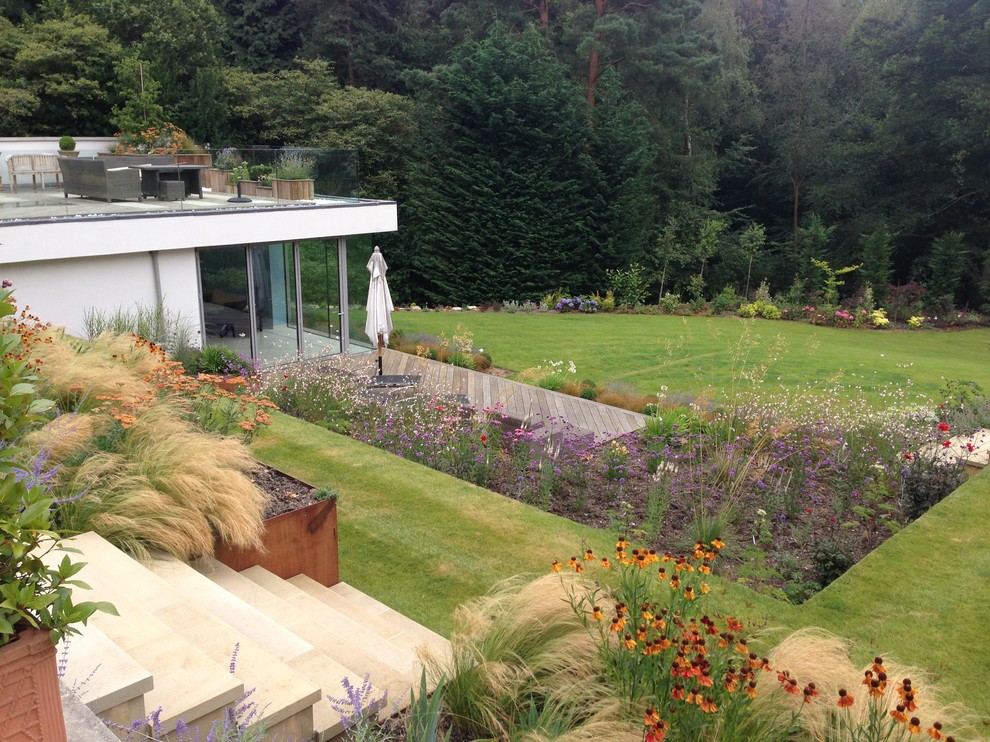 Design ideas for a contemporary garden in Surrey.