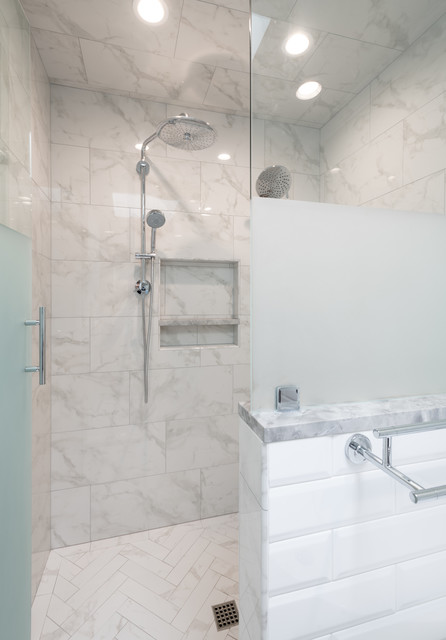 Master Shower transitional-bathroom