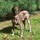 deborah_willem