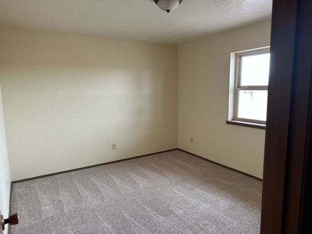 Whole Home Renovation