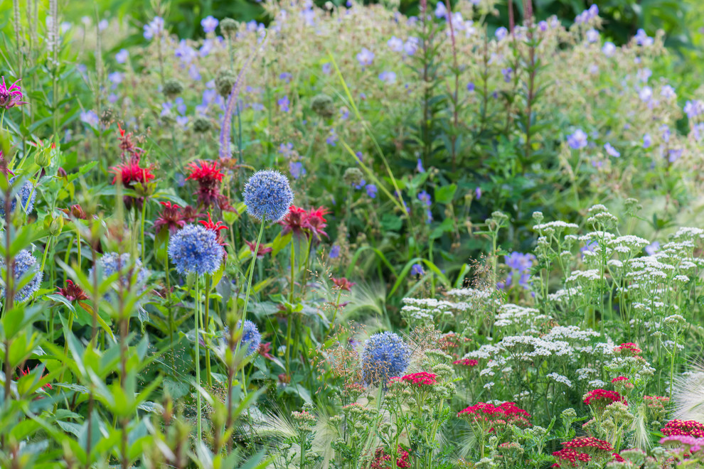 Цветник в  природном стиле  (" New Perennials"  или "Новая волна")