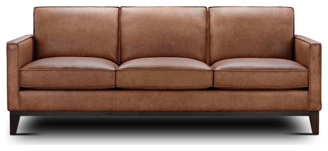 Pimlico 100% Top Grain Leather Sofa - Transitional - Sofas - by Hello Sofa  Home | Houzz