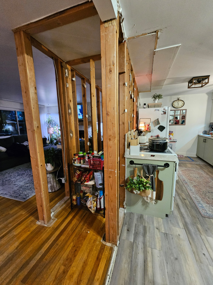Kitchen Remodel