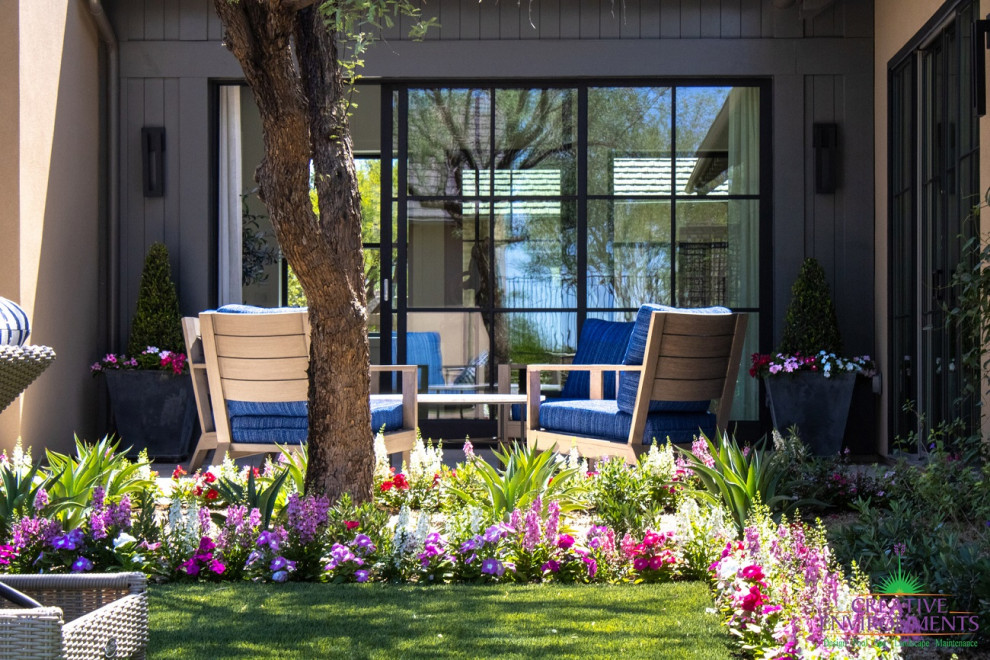 Geometrischer, Geräumiger, Halbschattiger Moderner Garten im Sommer, hinter dem Haus mit Pergola, Betonboden und Metallzaun in Phoenix