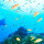 webuser_561024331