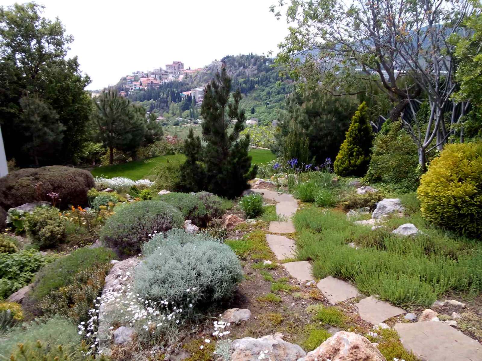 Крым. Гурзуф.