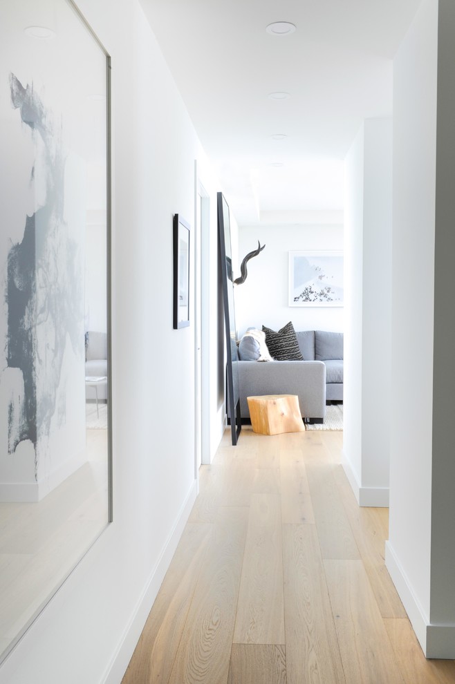 Inspiration for a modern hallway in Other with multi-coloured walls, light hardwood floors and brown floor.