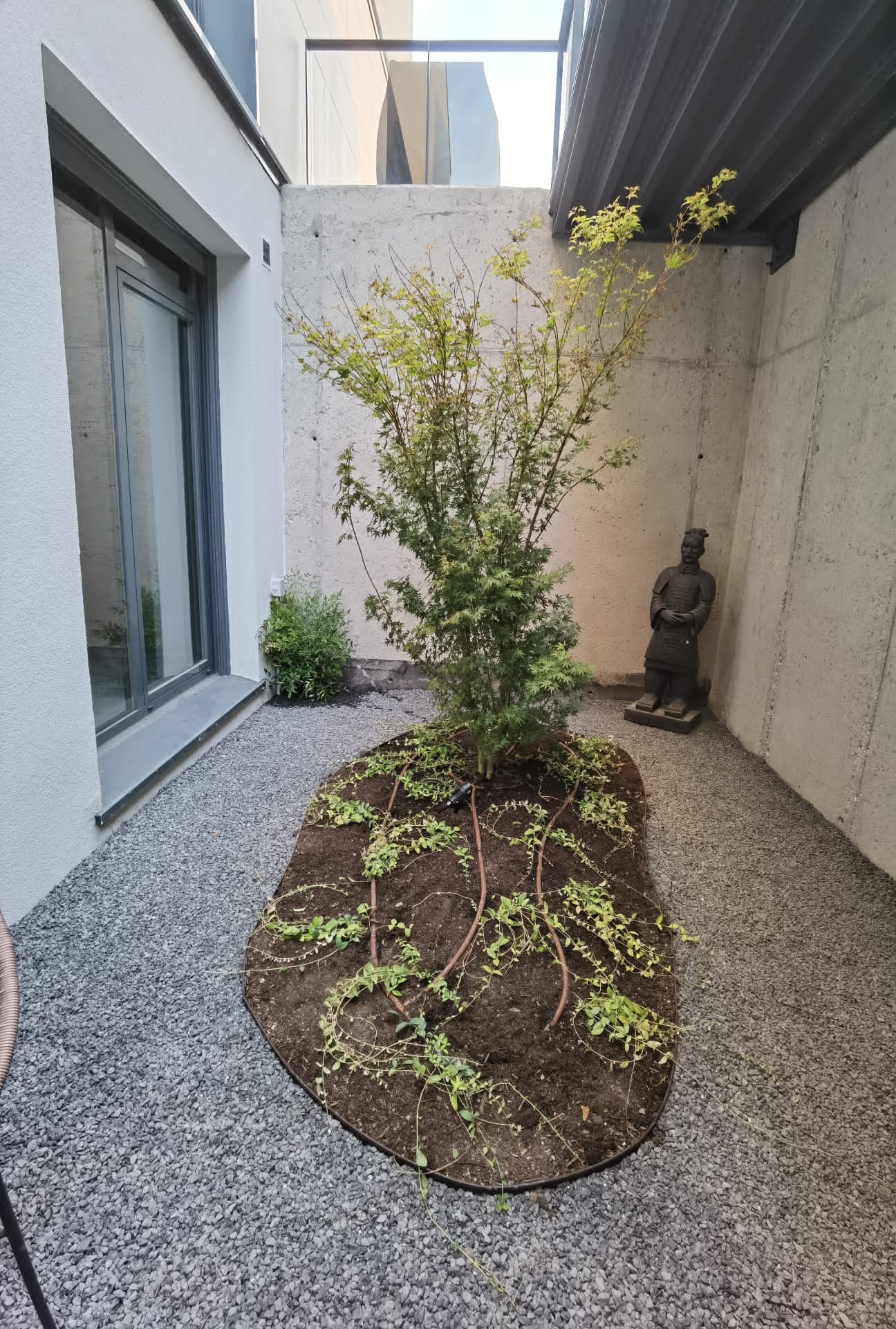 Minimal japo