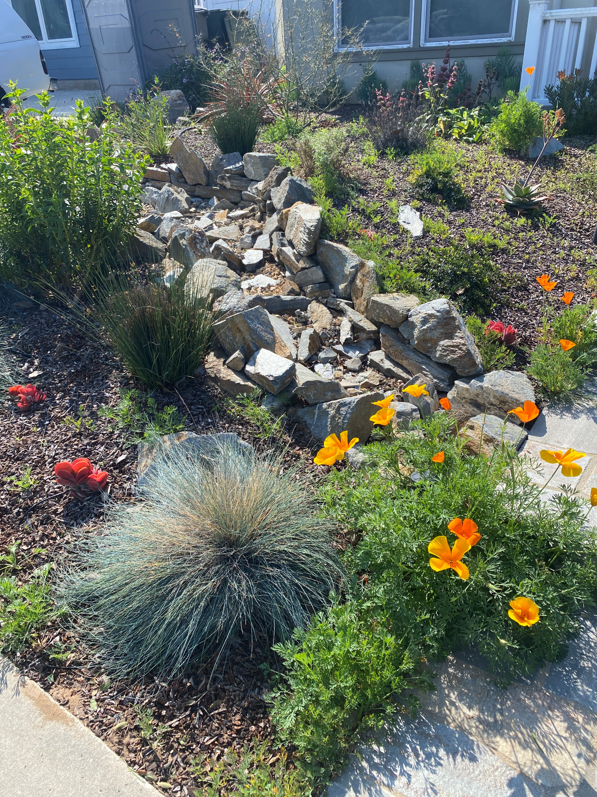 Low Maintenance Curb Appeal