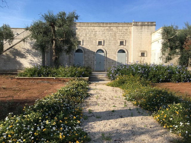 Sulla serra di Spongano | 3000 mq mediterran-garten