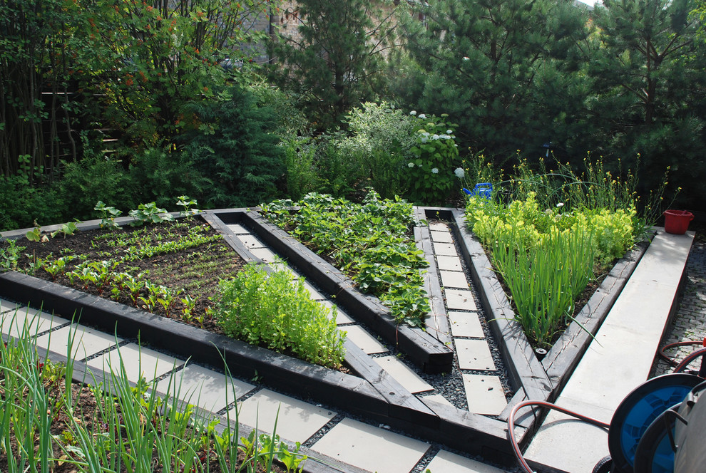 Променад. Киевское шоссе.