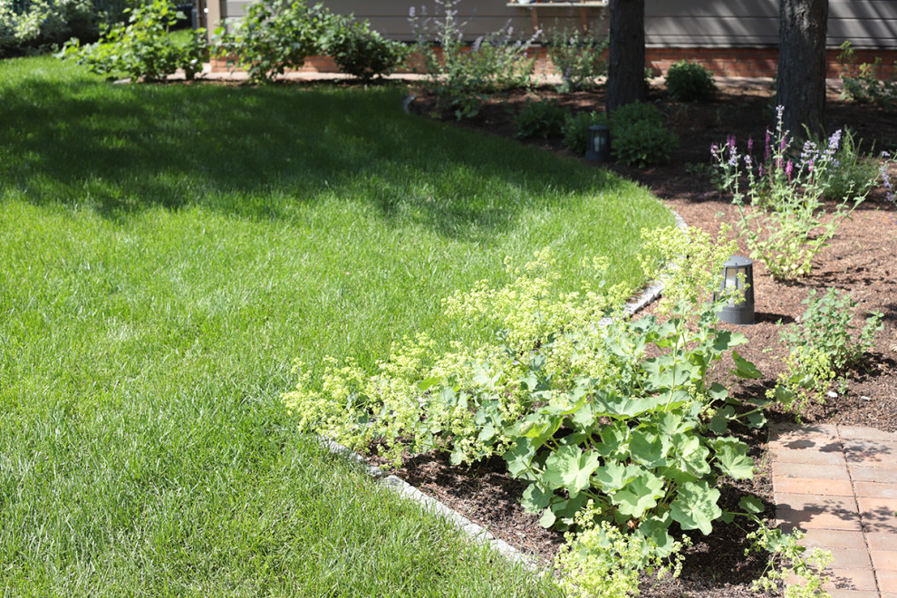 Солнечный берег