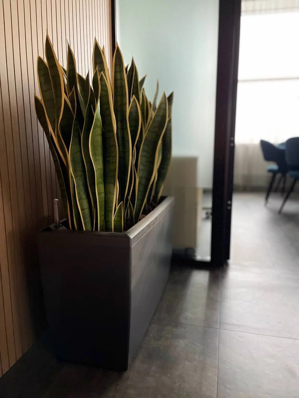 Офис Технодинамика г. Москва