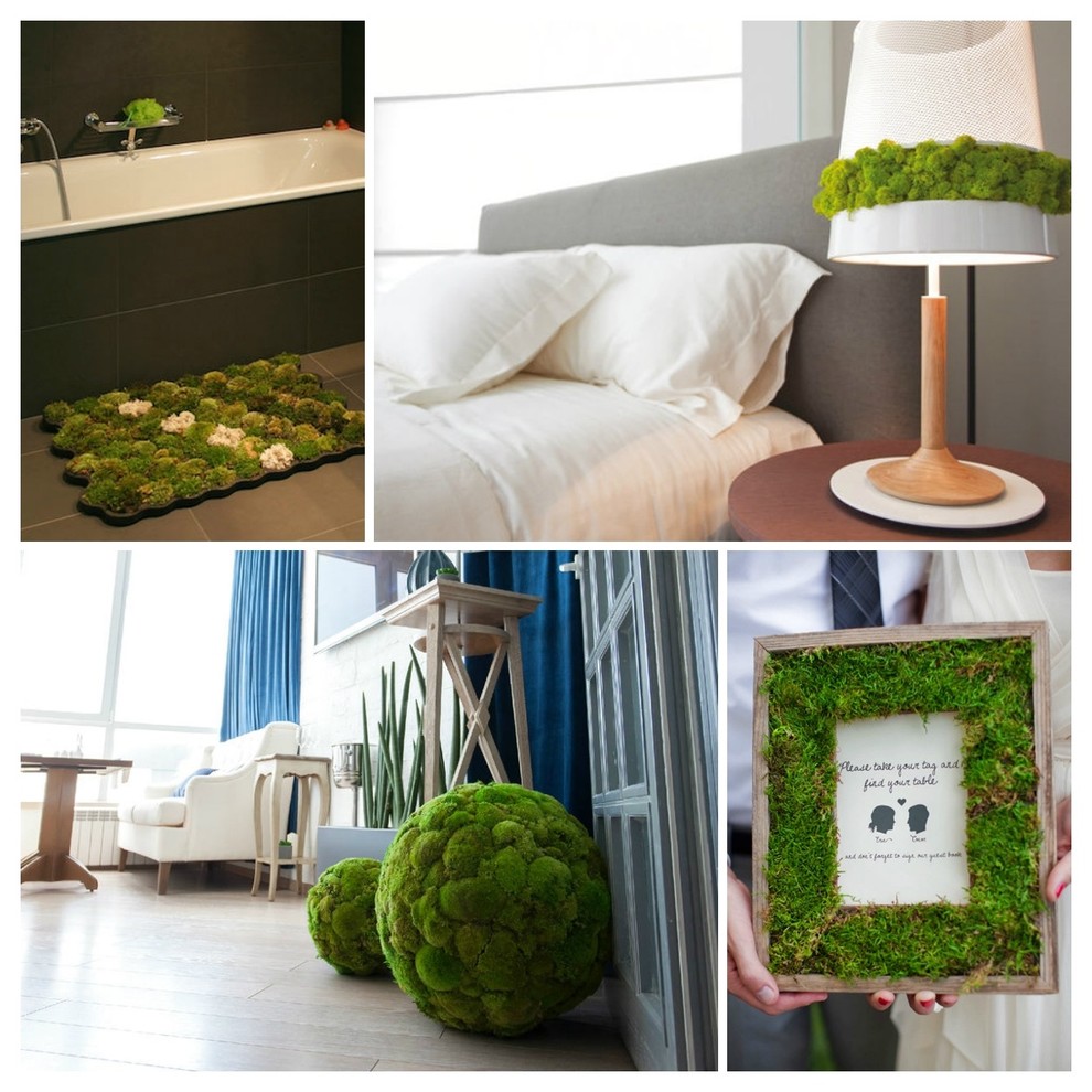 Мох в интерьере