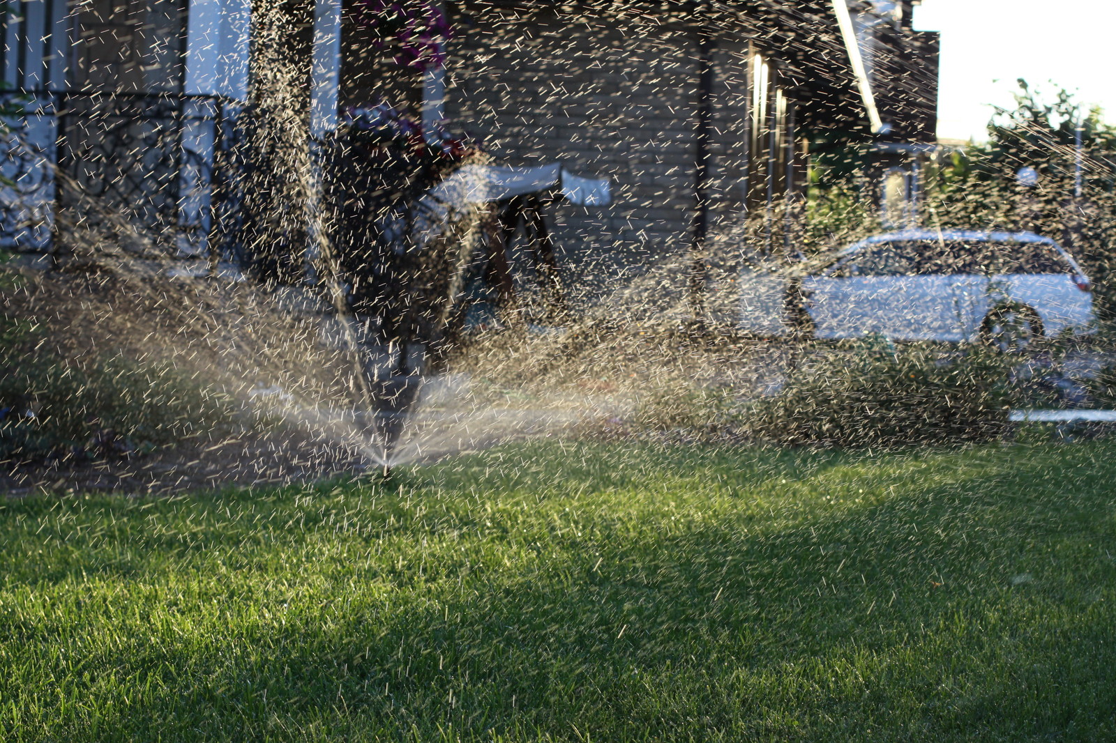 Проект автополива 8 соток