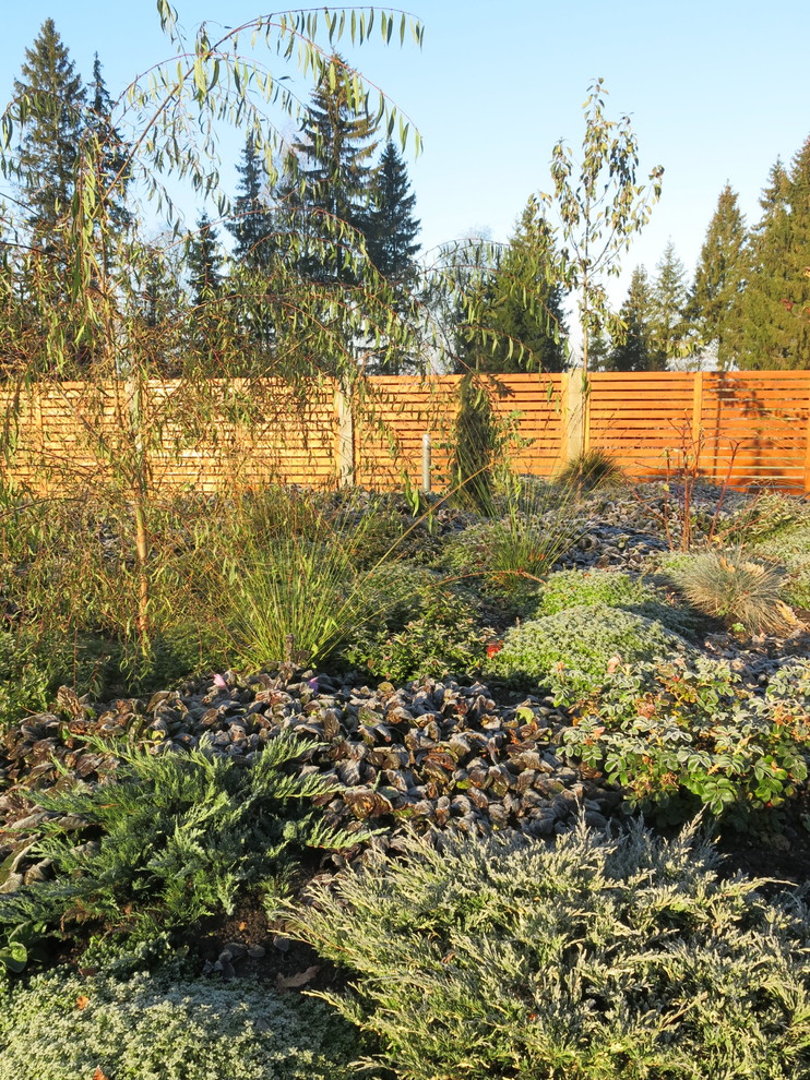 ЯГОДНОЕ ЛУКОШКО. СЕЗОН 2016. ПРЕДЗИМЬЕ. ПЕРВЫЕ ЗАМОРОЗКИ.