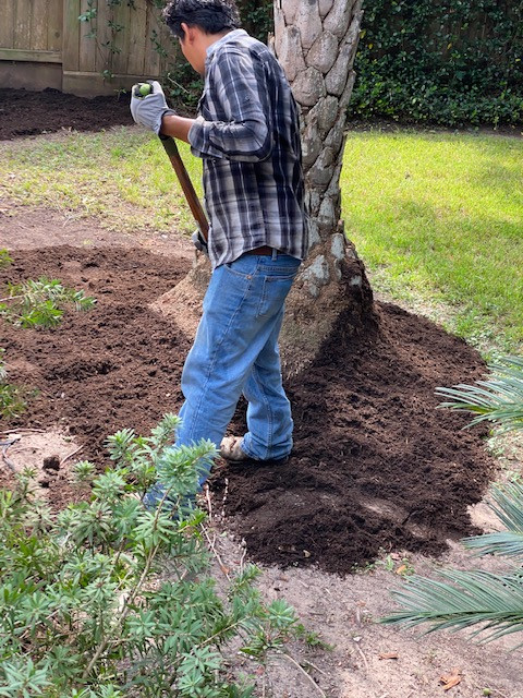 Landscaping, Mulch & Trimming