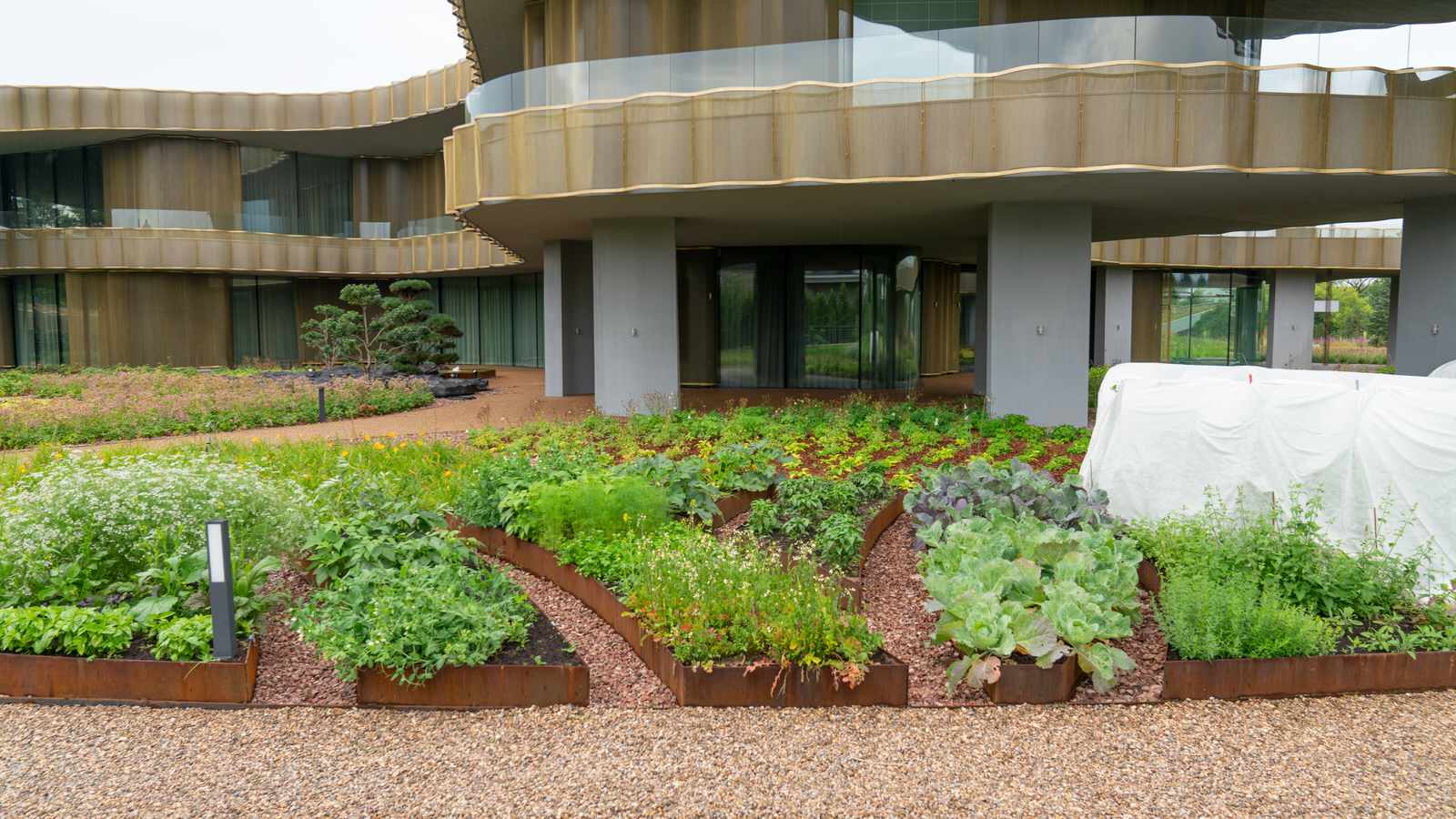 Природный сад. Жуковка XXI век. 2017-2018 гг.