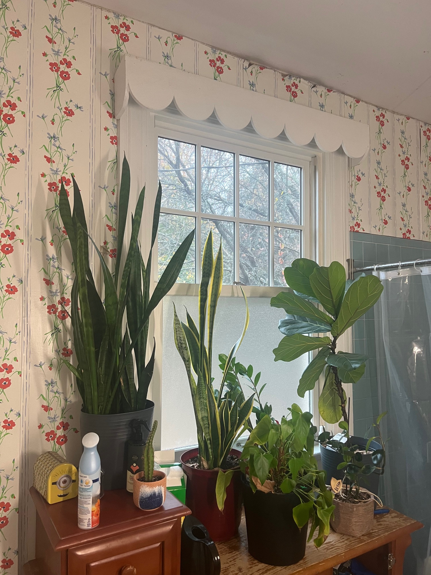 A Botanical Reverie