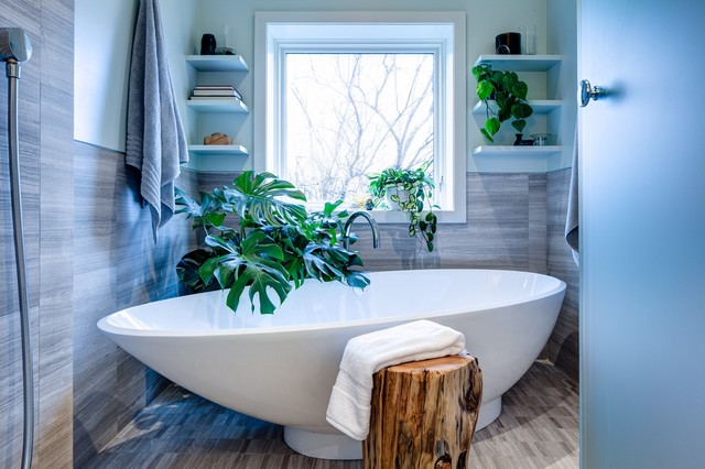 Accessoire salle du bain + plante