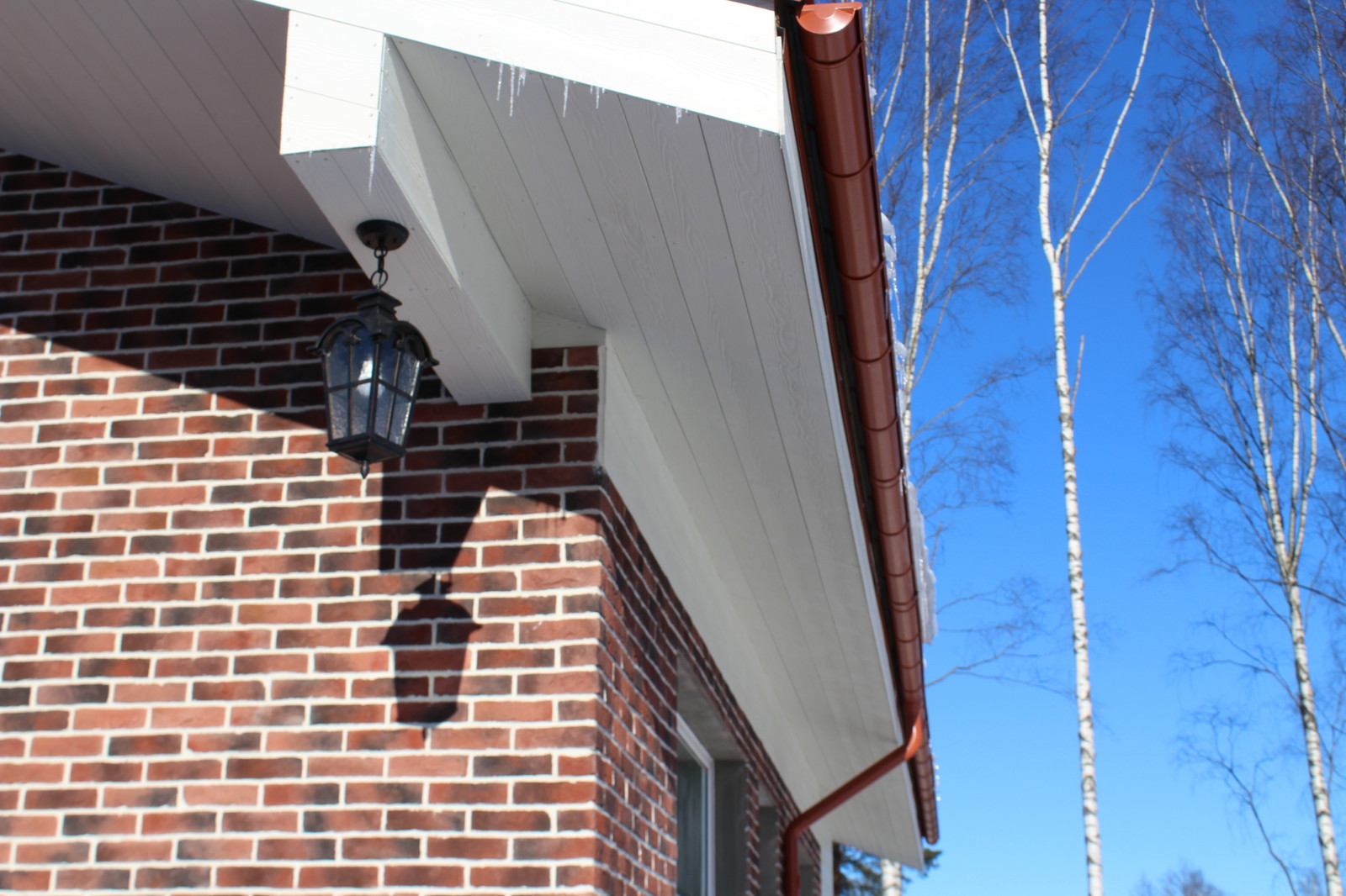 Большой загородный дом с видом на лес.