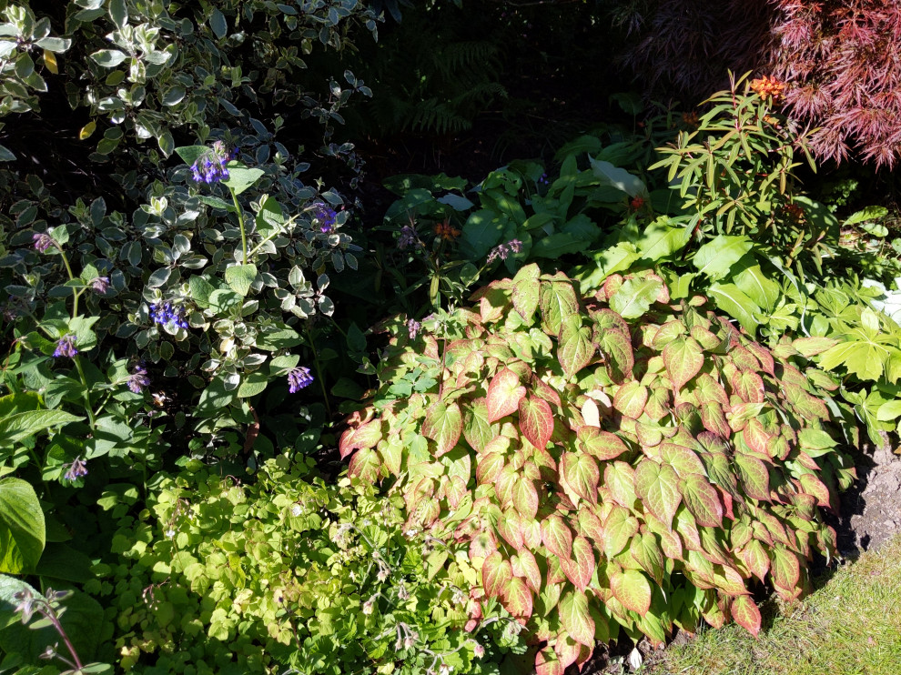 Photo of a mid-sized traditional garden in Other.