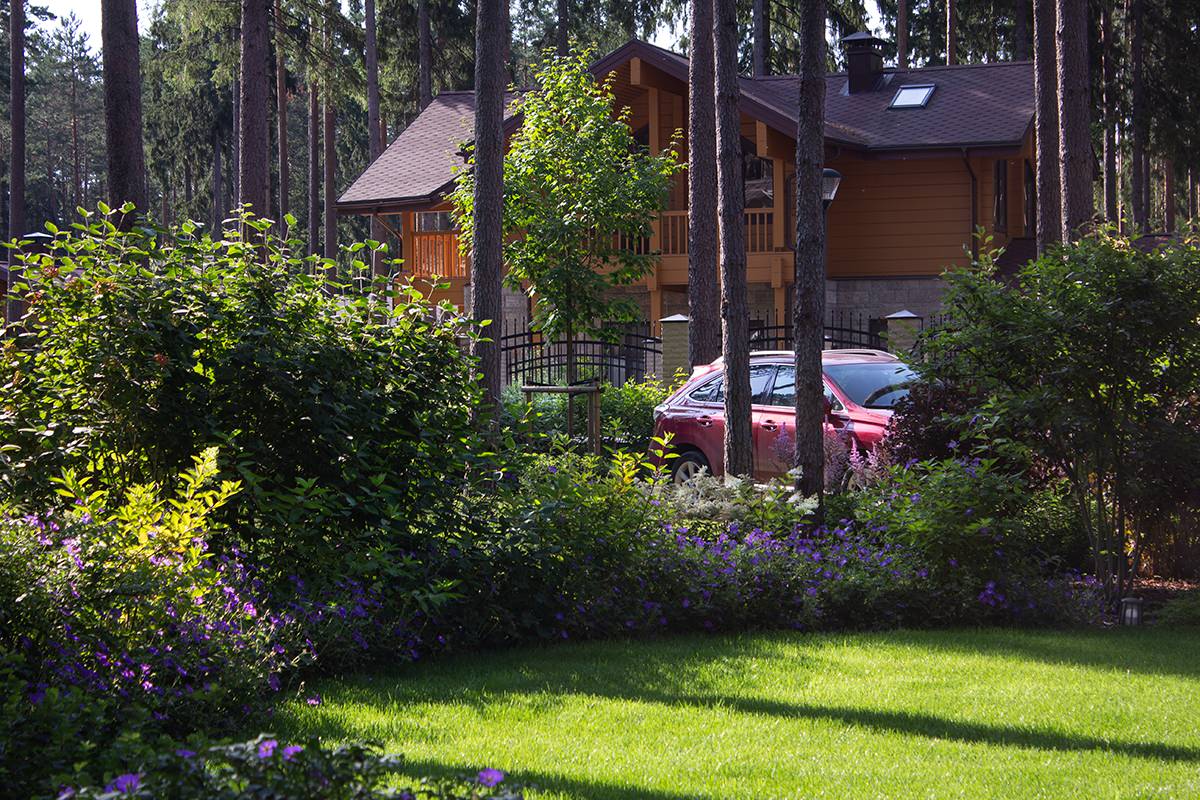 Еловая аллея