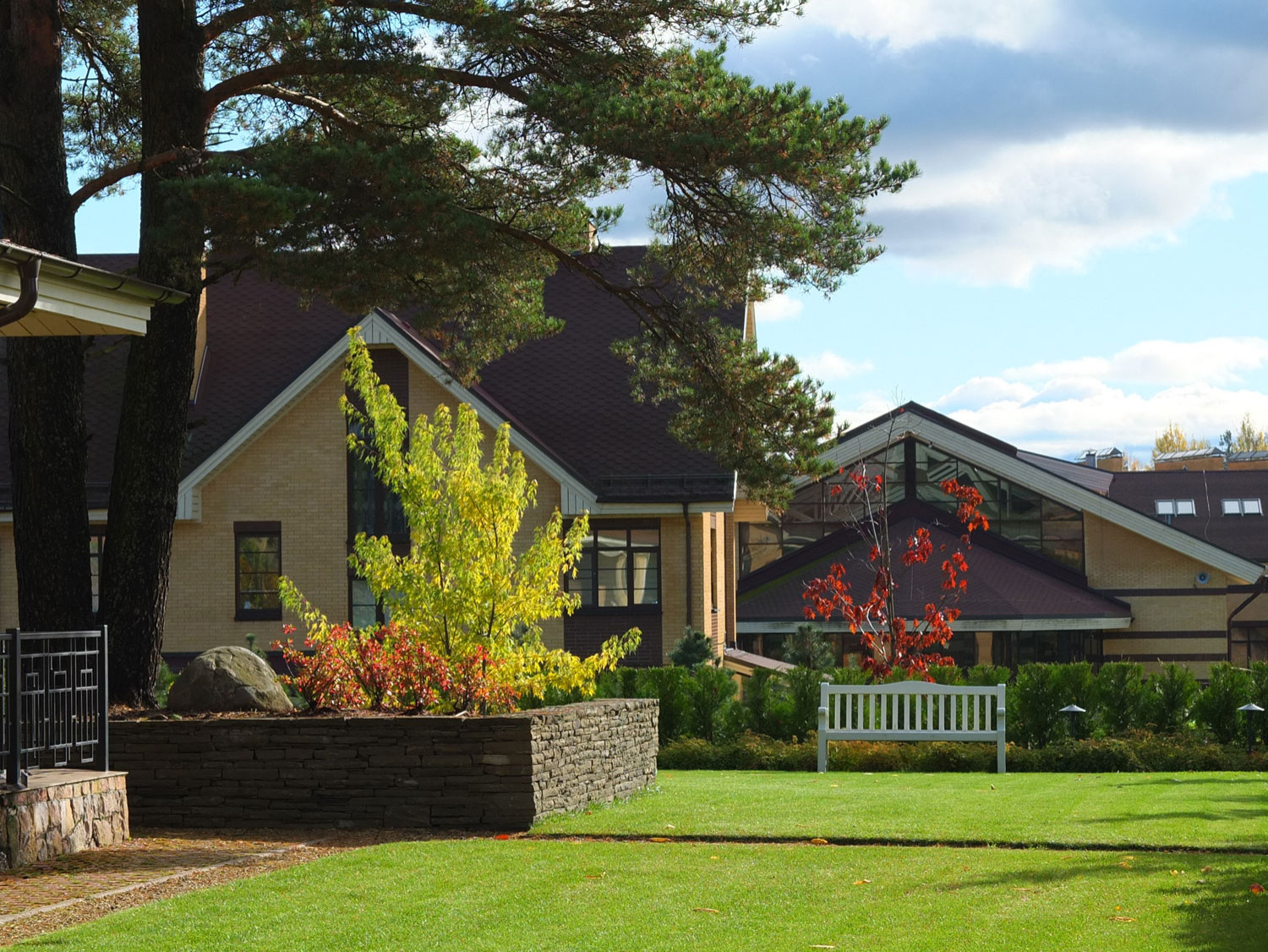 Участок со старой сосной