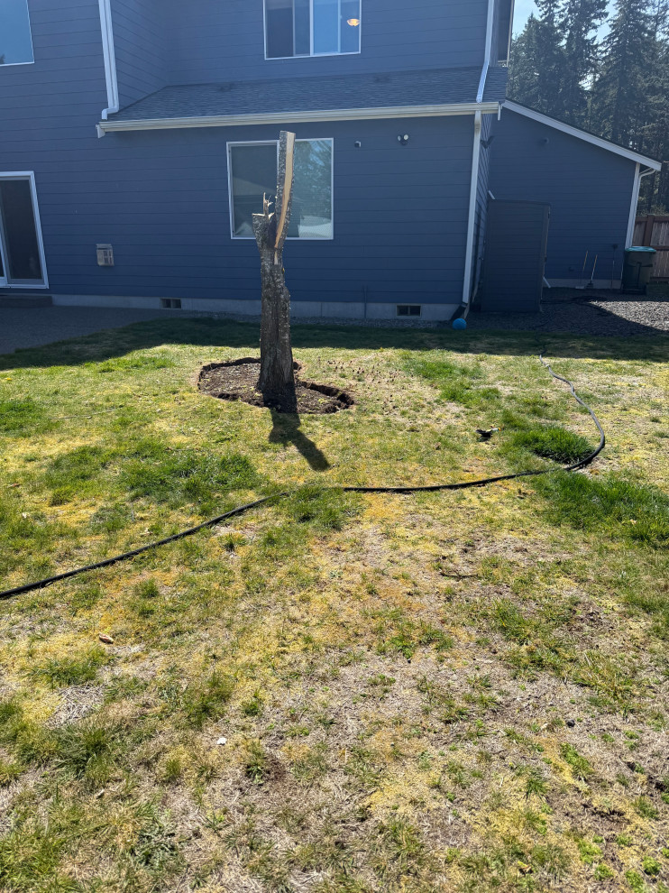 The small tree and window will be replaced