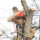Hollow Tree Services